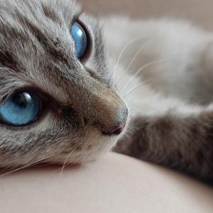 Linur4ик